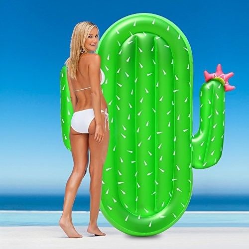 家族の楽しいカクトスプール フローティング 非ファタラート PVC 夏のパーティー フローティング 湖のために